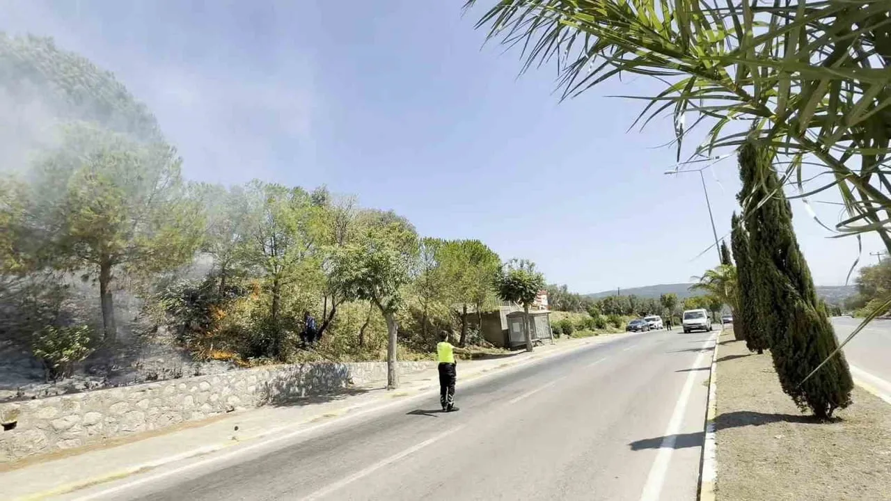 ERDEK İLÇESİNDE YOL KENARINDAKİ OTLUK ALANDA ÇIKAN YANGIN, EKİPLERİN YOĞUN MÜDAHALESİYLE KONTROL...