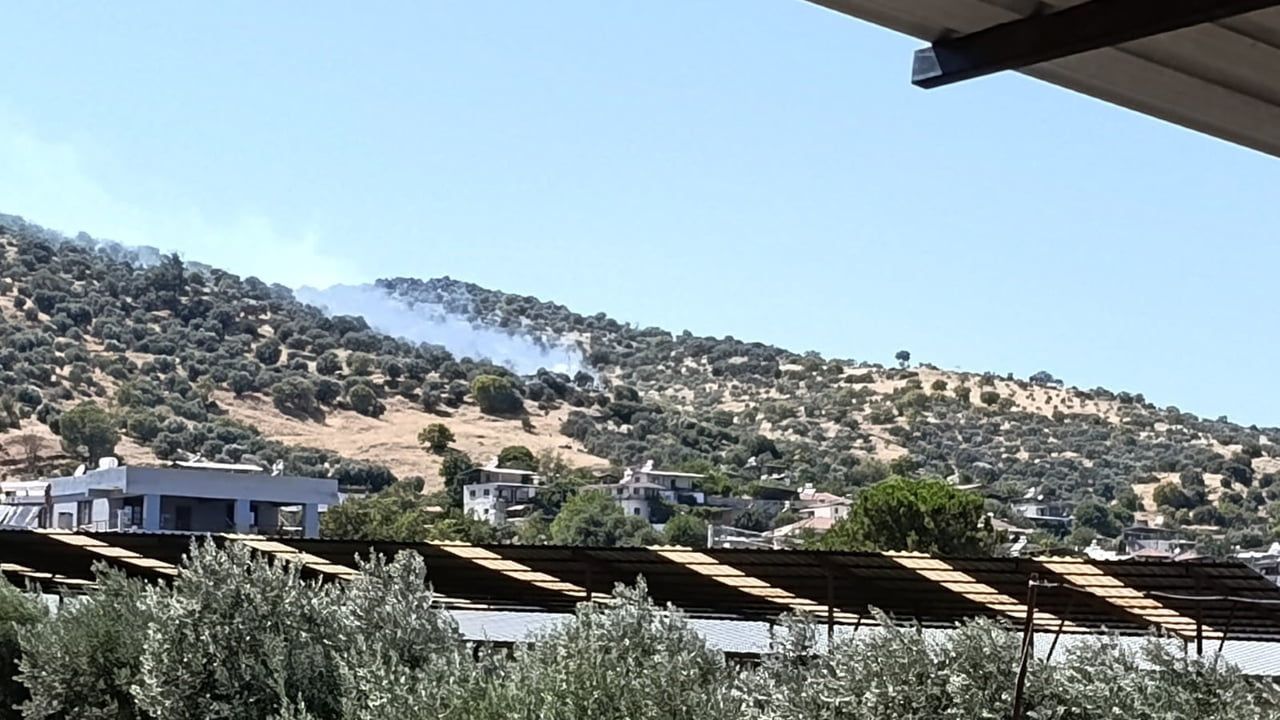 AYDIN'IN BOZDOĞAN İLÇESİNDE ZİRAİ ALANDA ÇIKAN YANGIN, EKİPLERİN VE VATANDAŞLARIN YOĞUN MÜDAHALESİ...