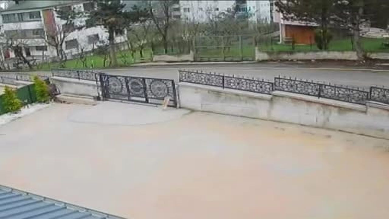 Ordu'da bahçe kapısından çıkan köpeğe çarpan sürücü böyle kaçtı, 10 yaşındaki kız baygınlık...