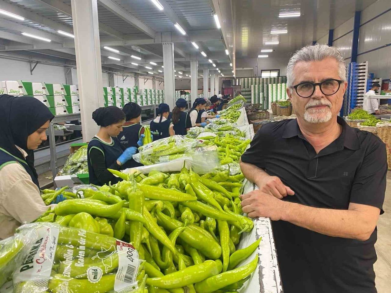 BURSA'NIN DÜNYACA ÜNLÜ SİYAH İNCİRİ İLE YENİŞEHİR'DE YETİŞTİRİLEN BİBER ÇEŞİTLERİ, AVRUPA...