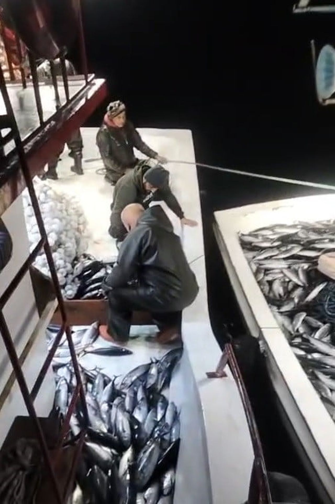 SİNOP’UN AYANCIK İLÇESİ GEBELİT AÇIKLARINDA DENİZE AÇILAN BALIKÇI UFUK YILMAZ’IN AĞINA BİNLERCE...