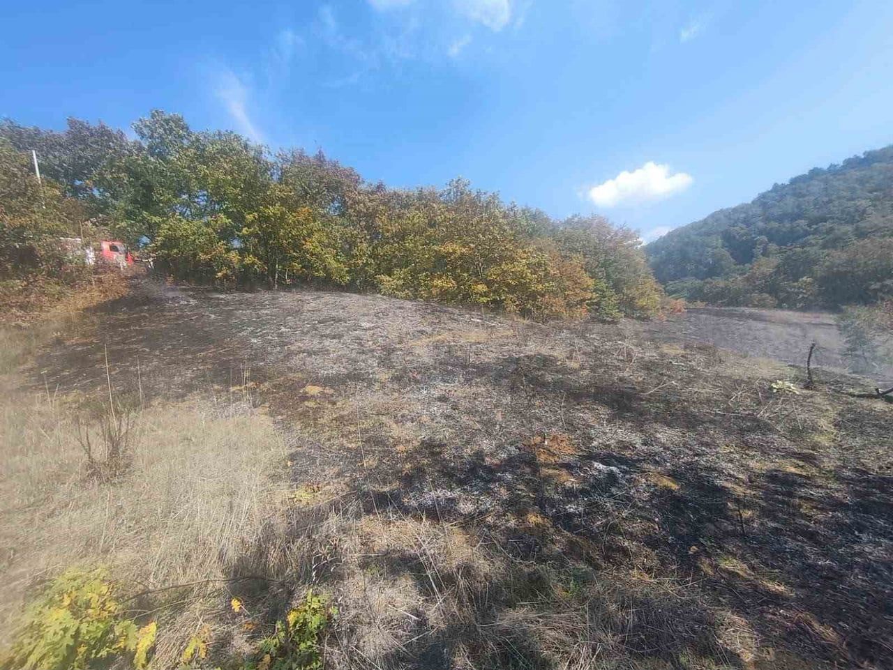 BOLU’NUN MUDURNU İLÇESİNDE OTLUK ARAZİDE ÇIKAN YANGIN, İTFAİYE EKİPLERİNİN MÜDAHALESİYLE BÜYÜMEDEN...