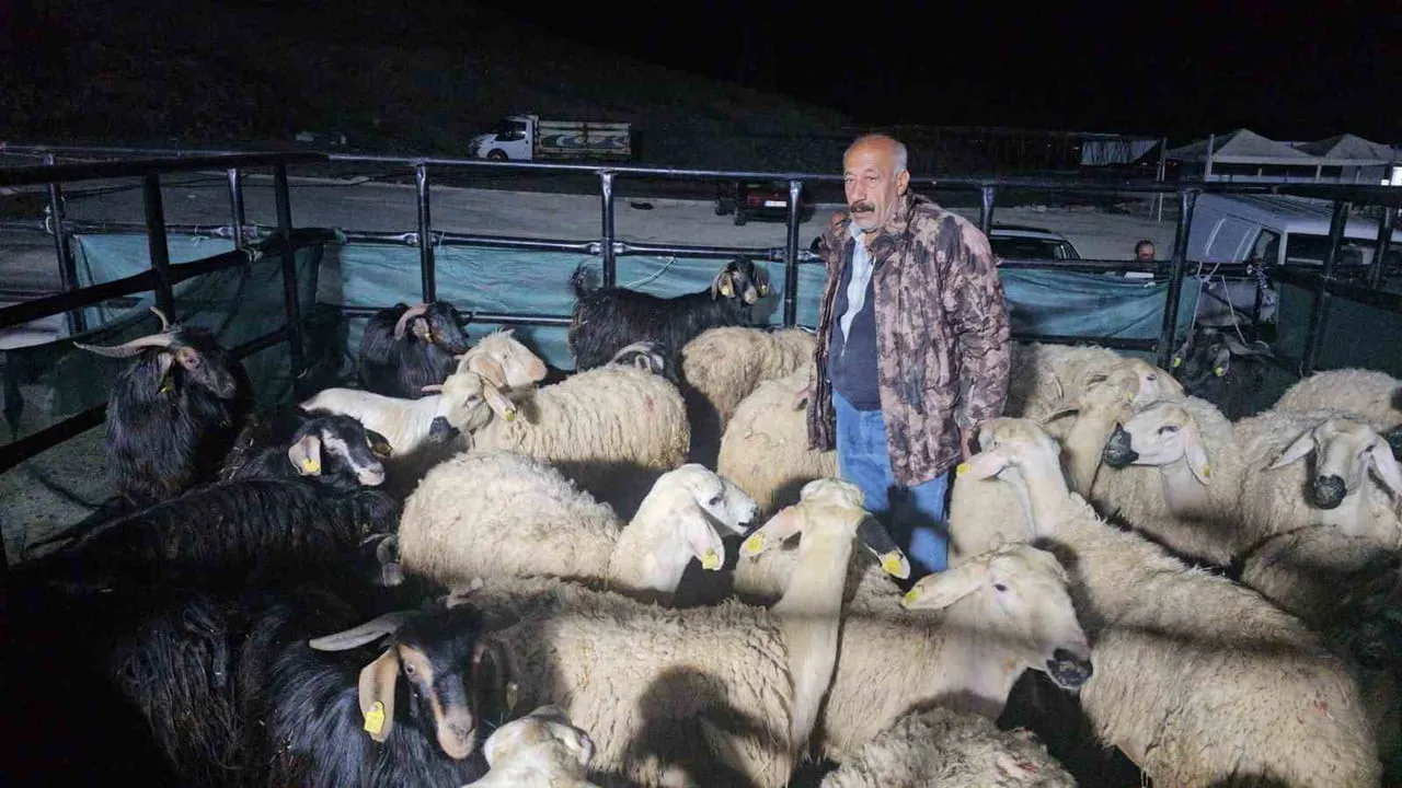 ELAZIĞ'DA KURBAN PAZARINDA UYKUSUZ MESAİ:GECEYİ HAYVANLARININ BAŞINDA GEÇİRİYORLAR