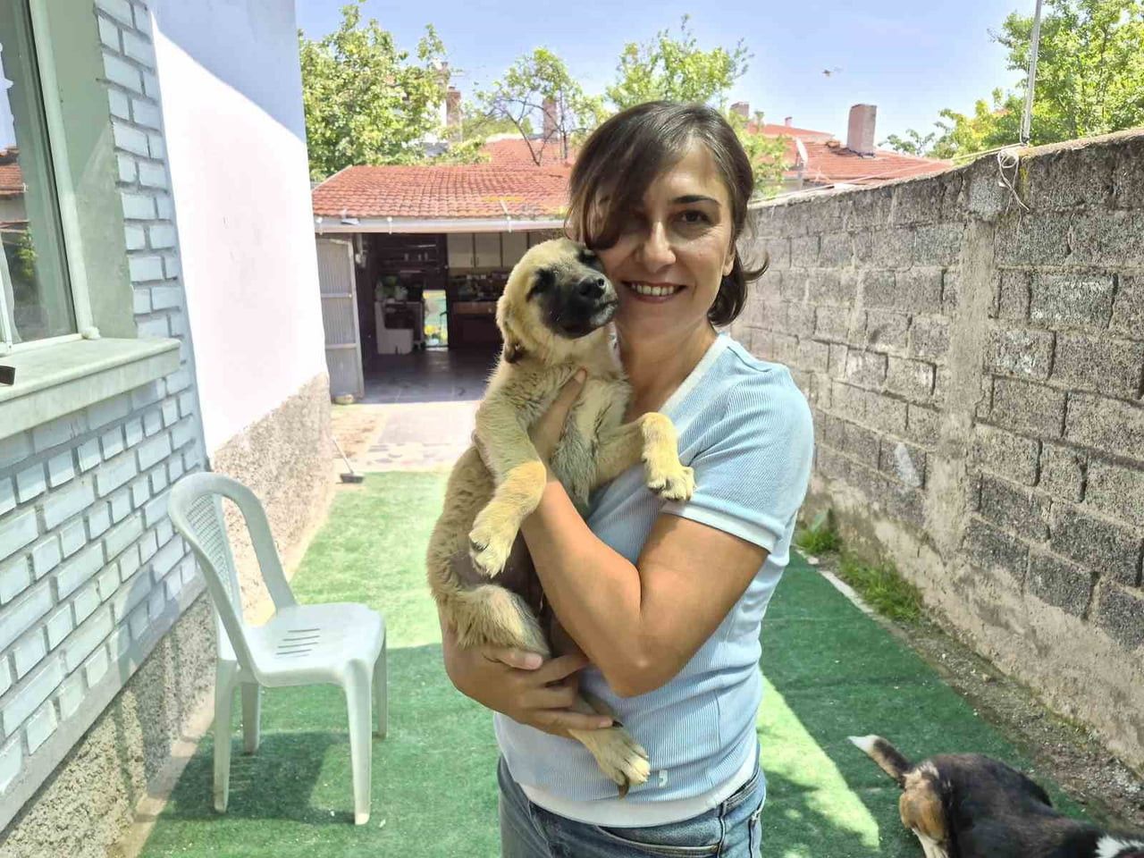 ESKİŞEHİR’DE 2 GÖNÜLLÜ VATANDAŞ, KIRSALDA AÇ VE SUSUZ KALAN HAYVANLARI BESLEYİP, YARALI OLANLARI...