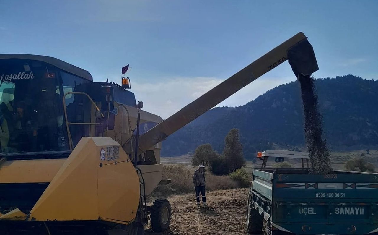 KAHRAMANMARAŞ’IN ANDIRIN İLÇESİNE BAĞLI ALTINYAYLA (SİSNE) MAHALLESİ’NDE AYÇİÇEĞİ HASADI...