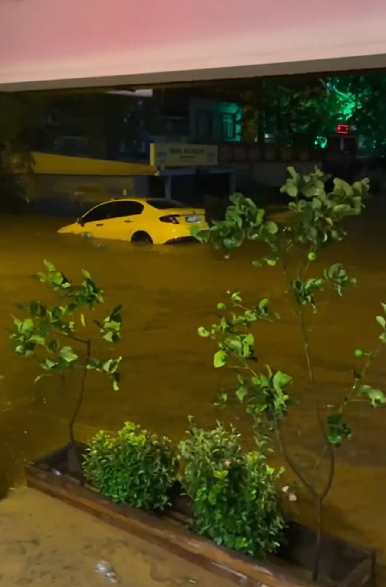 YALOVA’NIN ARMUTLU İLÇESİNDE ETKİLİ OLAN SAĞANAK YAĞIŞ ETKİLİ OLUYOR.  YAĞIŞ NEDENİYLE DERELER...