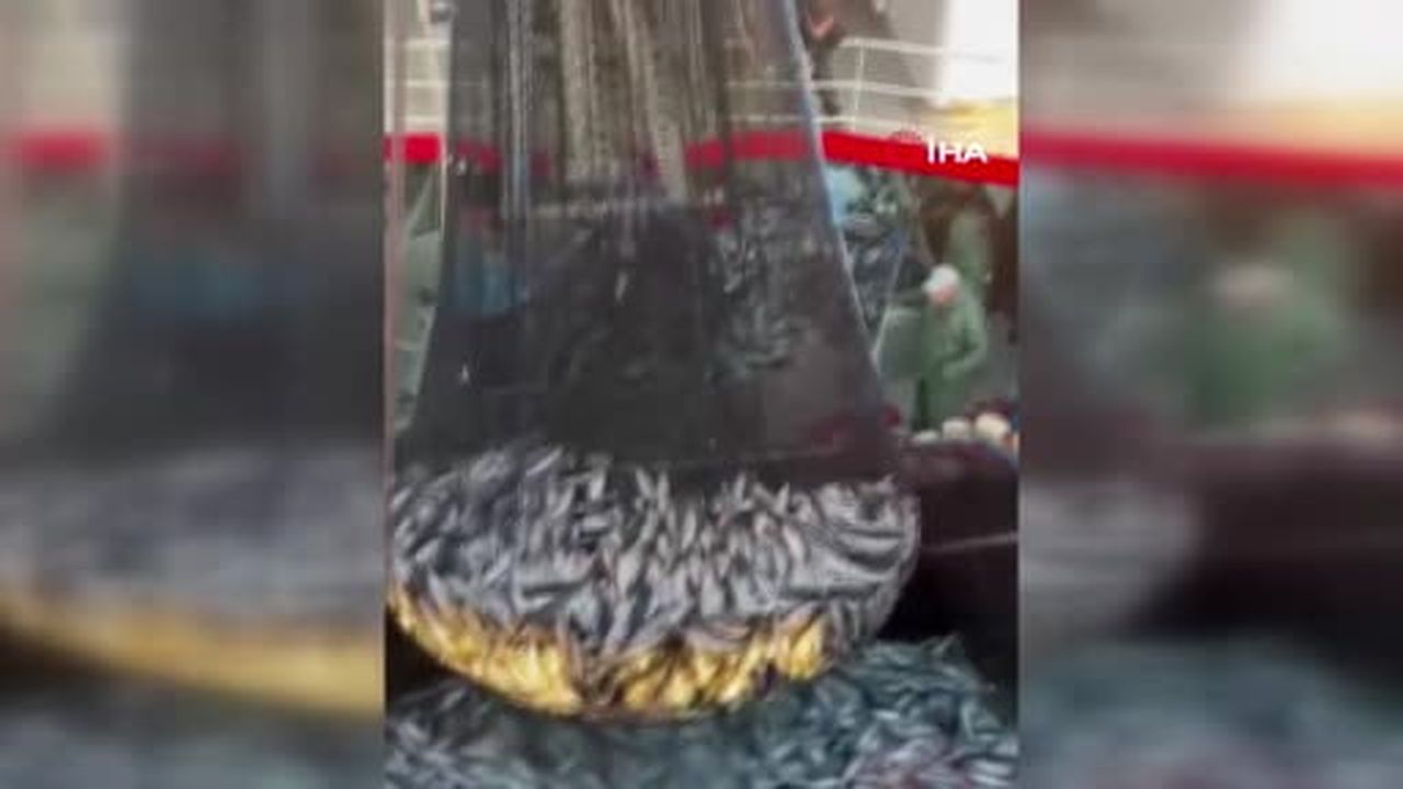 Sezonun ilk palamutları tezgaha geldi: Balıkçıların yüzü güldü