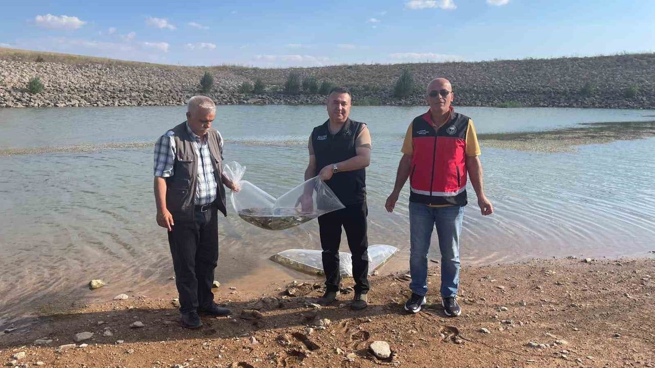 TARIM VE ORMAN BAKANLIĞI TARAFINDAN YÜRÜTÜLEN "SU KAYNAKLARININ BALIKLANDIRILMASI PROJESİ"...