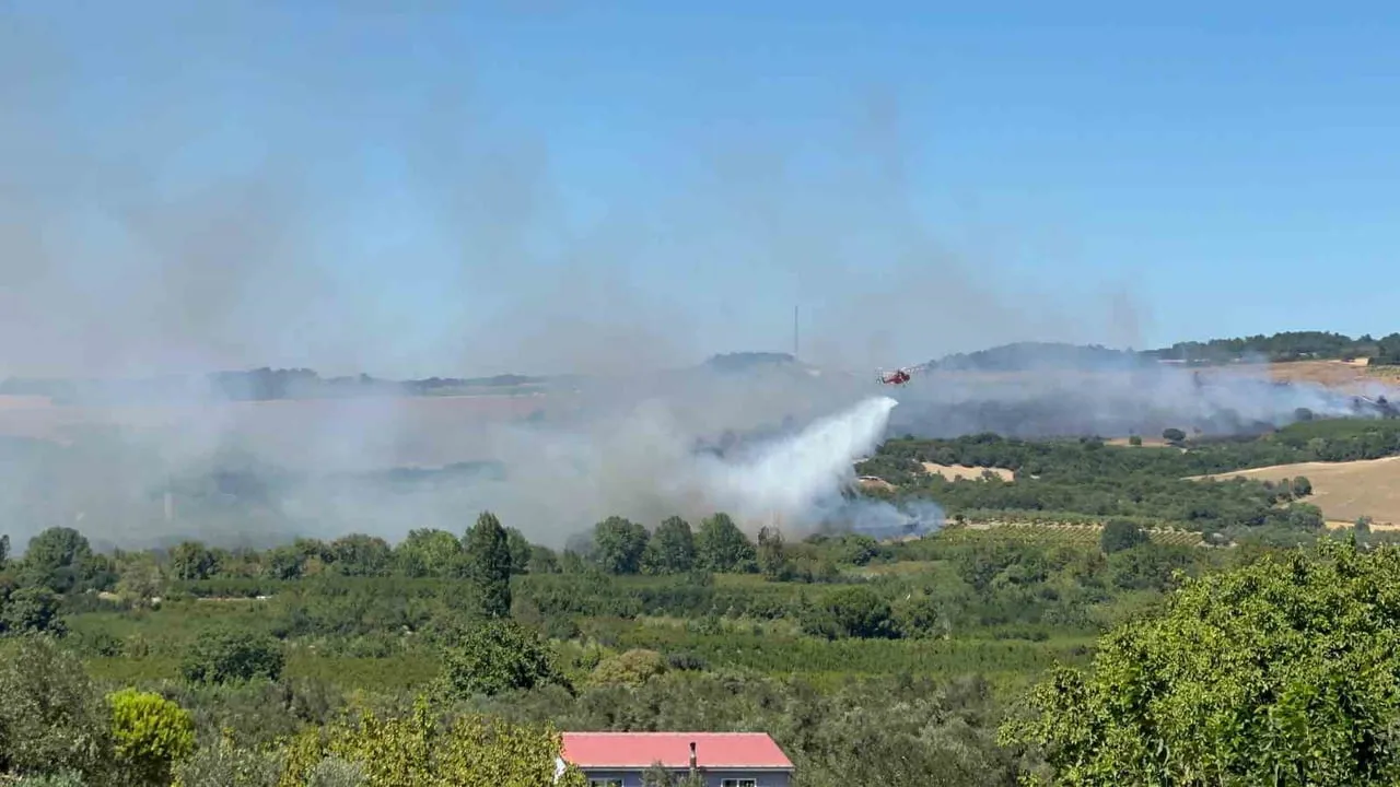 ÇANAKKALE'NİN LAPSEKİ İLÇESİNDE TARIM ARAZİSİNDE BAŞLAYAN YANGINA ORMAN BÖLGE MÜDÜRLÜĞÜ...