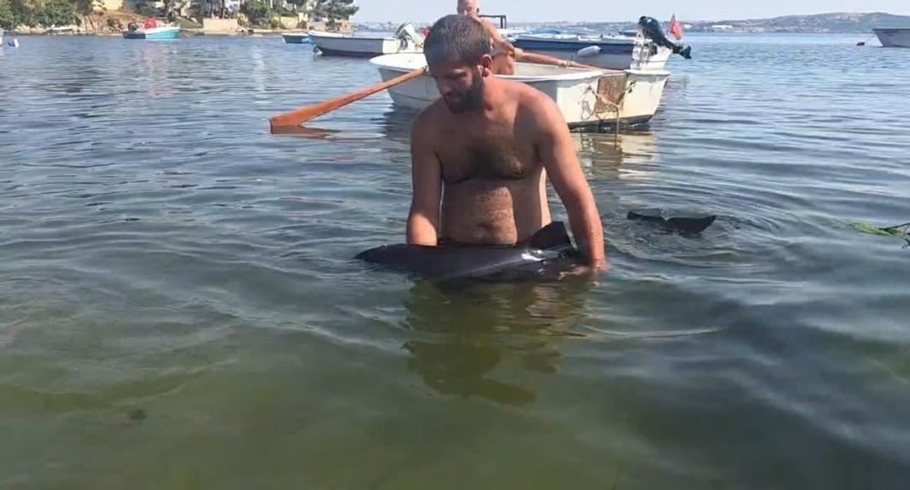 BALIKESİR'İN ERDEK İLÇESİNE BAĞLI TATLISU MAHALLESİ BÜYÜK BAKRAÇ MEVKİİNDE KARAYA VURAN YAKLAŞIK...