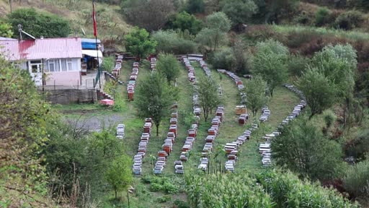Hem sporcu, hem organik bal üretiyor