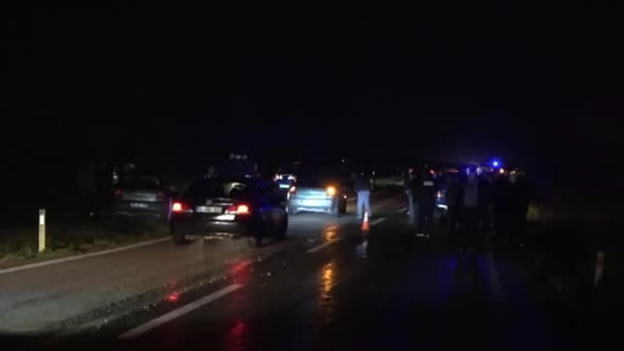 Büyükbaş hayvana çarpan otomobilin sürücüsü hayatını kaybetti