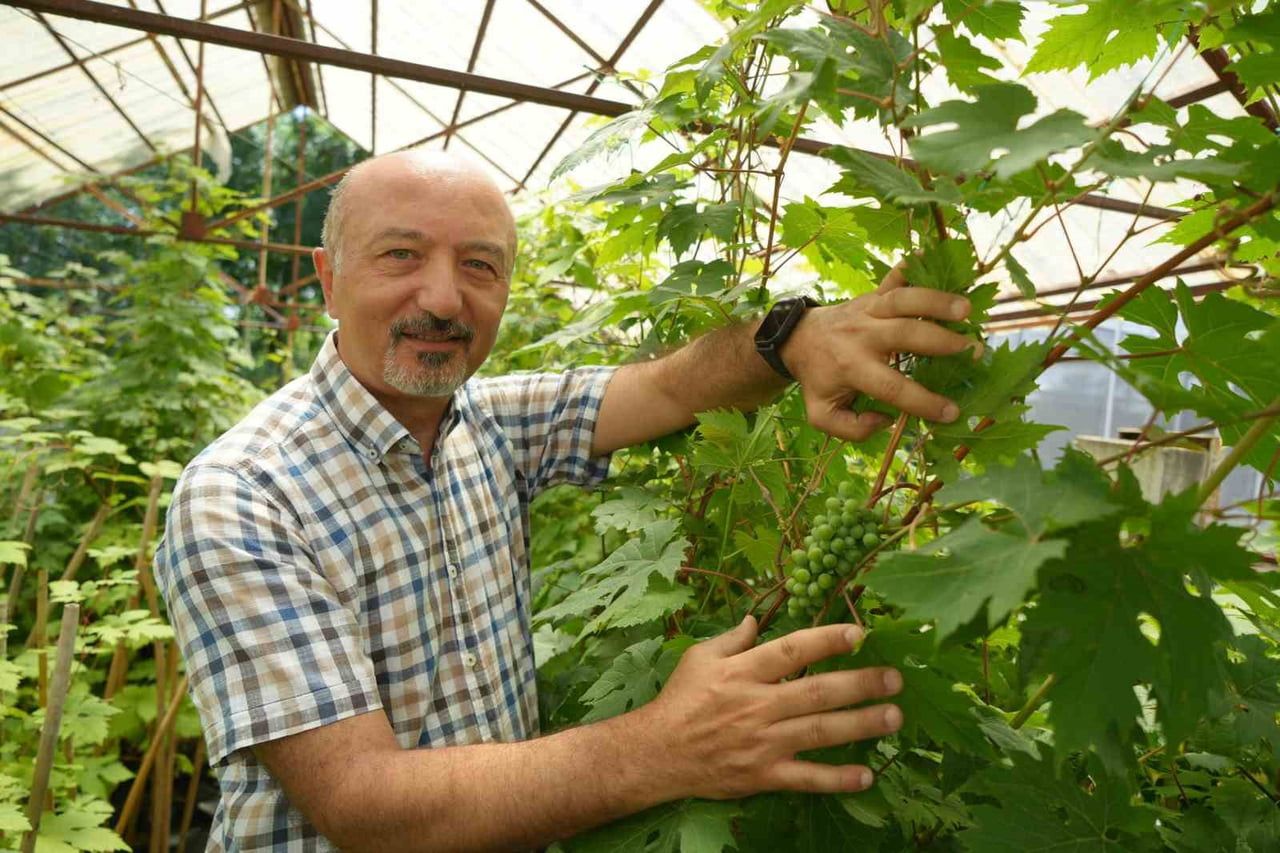 PROF. DR. BÜLENT KÖSE