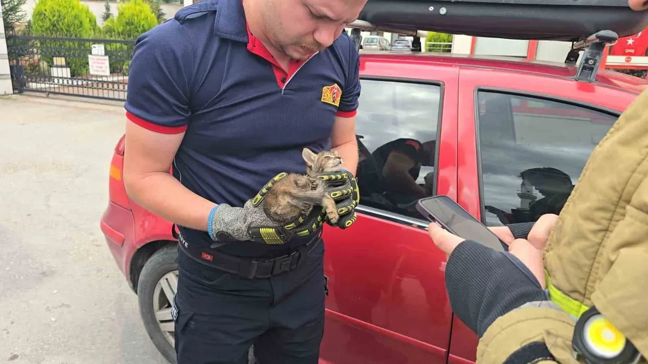 KARABÜK'ÜN SAFRANBOLU İLÇESİNDE OTOMOBİLİN MOTOR KISMINA GİREN YAVRU KEDİ, İTFAİYE EKİPLERİNİN CEP...