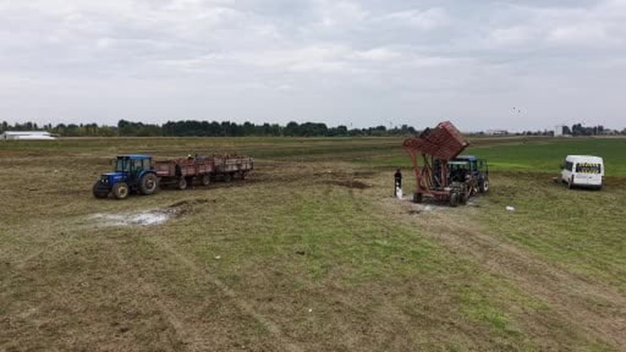 Muş ekonomisine pancardan 2,5 milyar TL’lik katkı