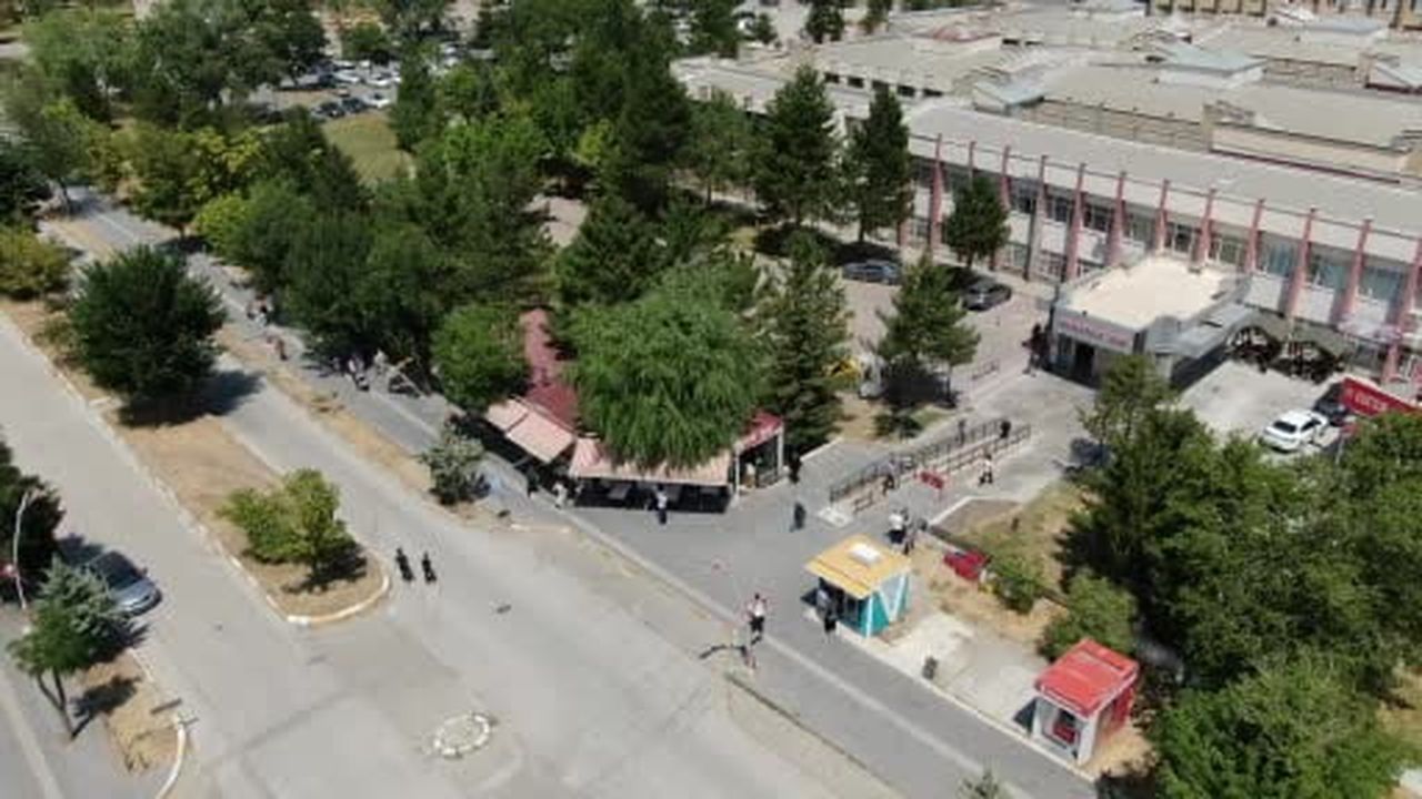 Kesmeye kıyamadığı salkım söğüdü işletmenin simgesi oldu