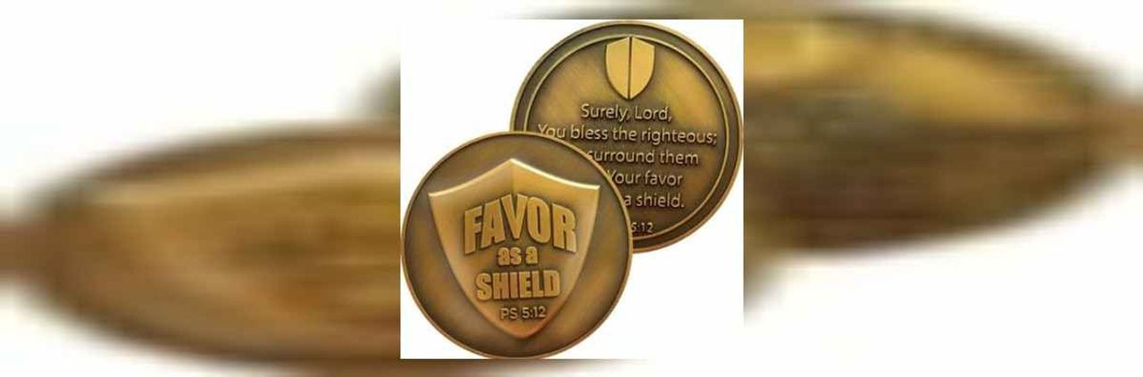 FAVOR coin nedir