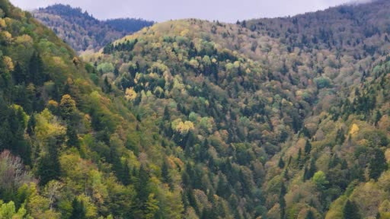 Gümüşhane'nin doğal ve tarihi mirası sonbahar renkleriyle görüntülendi