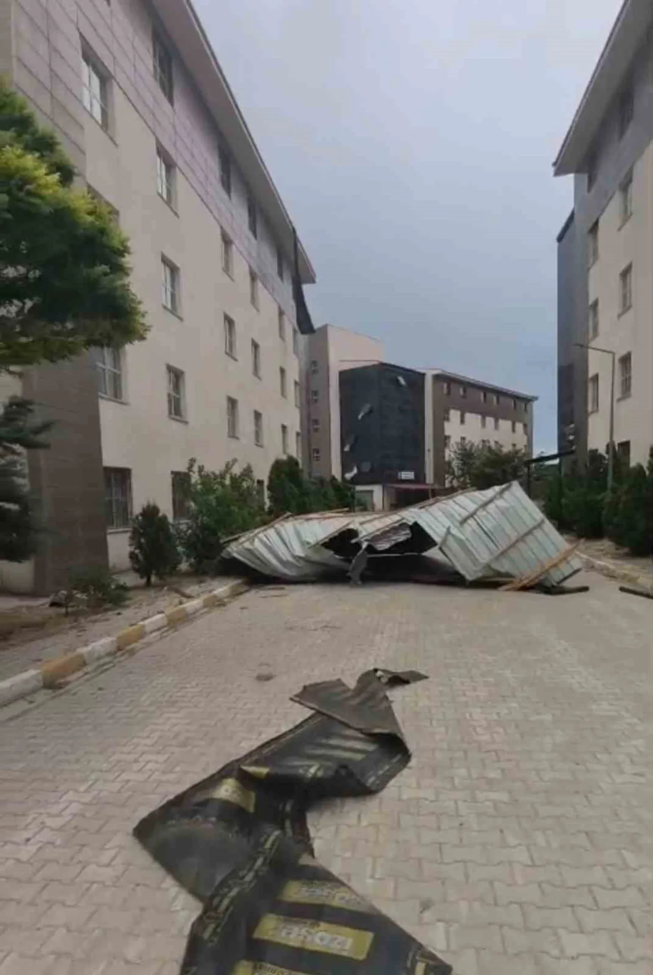 VAN’DA ETKİLİ OLAN ŞİDDETLİ RÜZGAR NEDENİYLE ÇOK SAYIDA AĞAÇ DEVRİLİRKEN, BAZI BİNALARIN ÇATILARI...