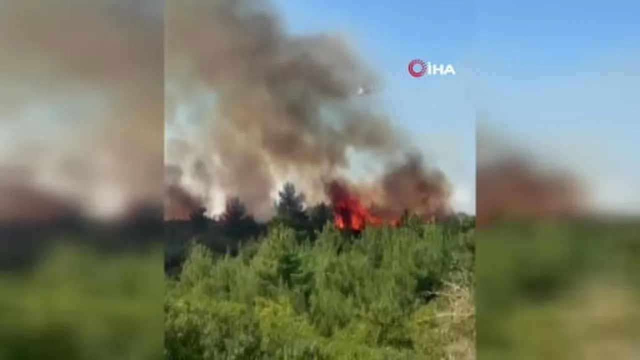 Lapseki'de tarım arazisinde yangın