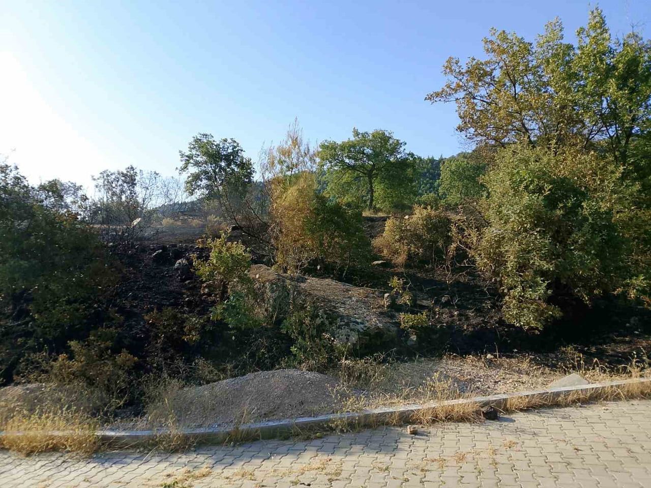 DENİZLİ’NİN BULDAN İLÇESİNE BAĞLI BOSTANYERİ MAHALLESİ’NDE ÇIKAN ÖRTÜ YANGINI, ORMAN EKİPLERİ İLE...