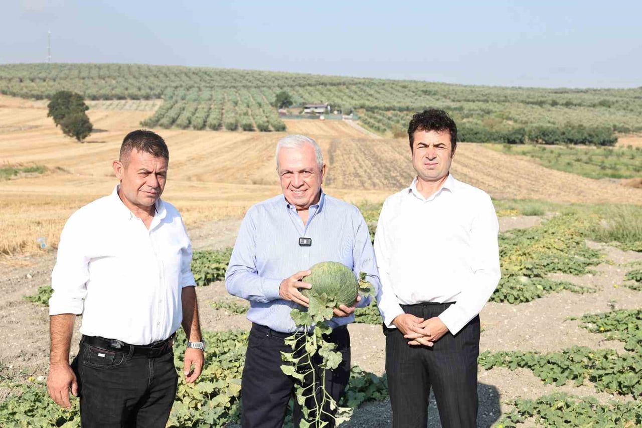 NİLÜFER BELEDİYE BAŞKANI ŞADİ ÖZDEMİR, KONAKLI MAHALLESİ’NDE KAVUN HASADINA KATILDI. BAŞKAN ŞADİ...