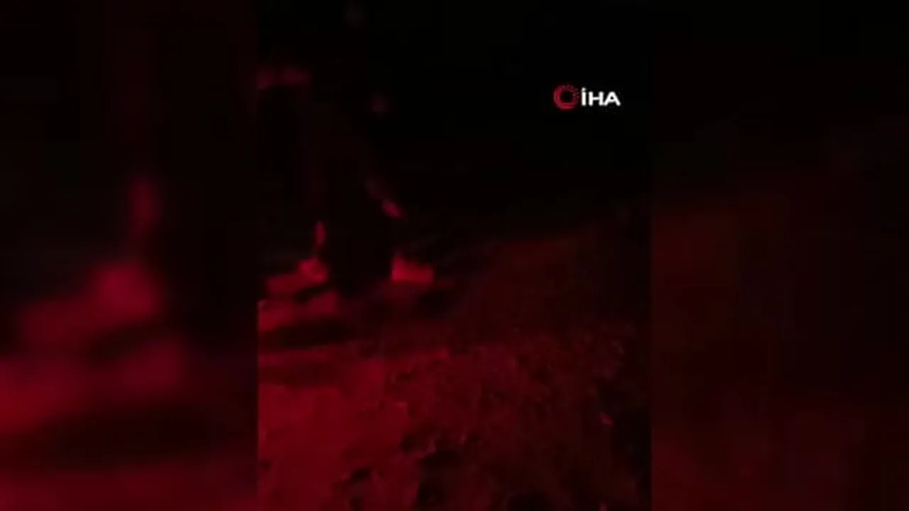 Ürdün Kraliyet Hava Kuvvetleri’ne ait savaş uçaklarının Suriye’nin güneydoğusundaki bazı noktalara...