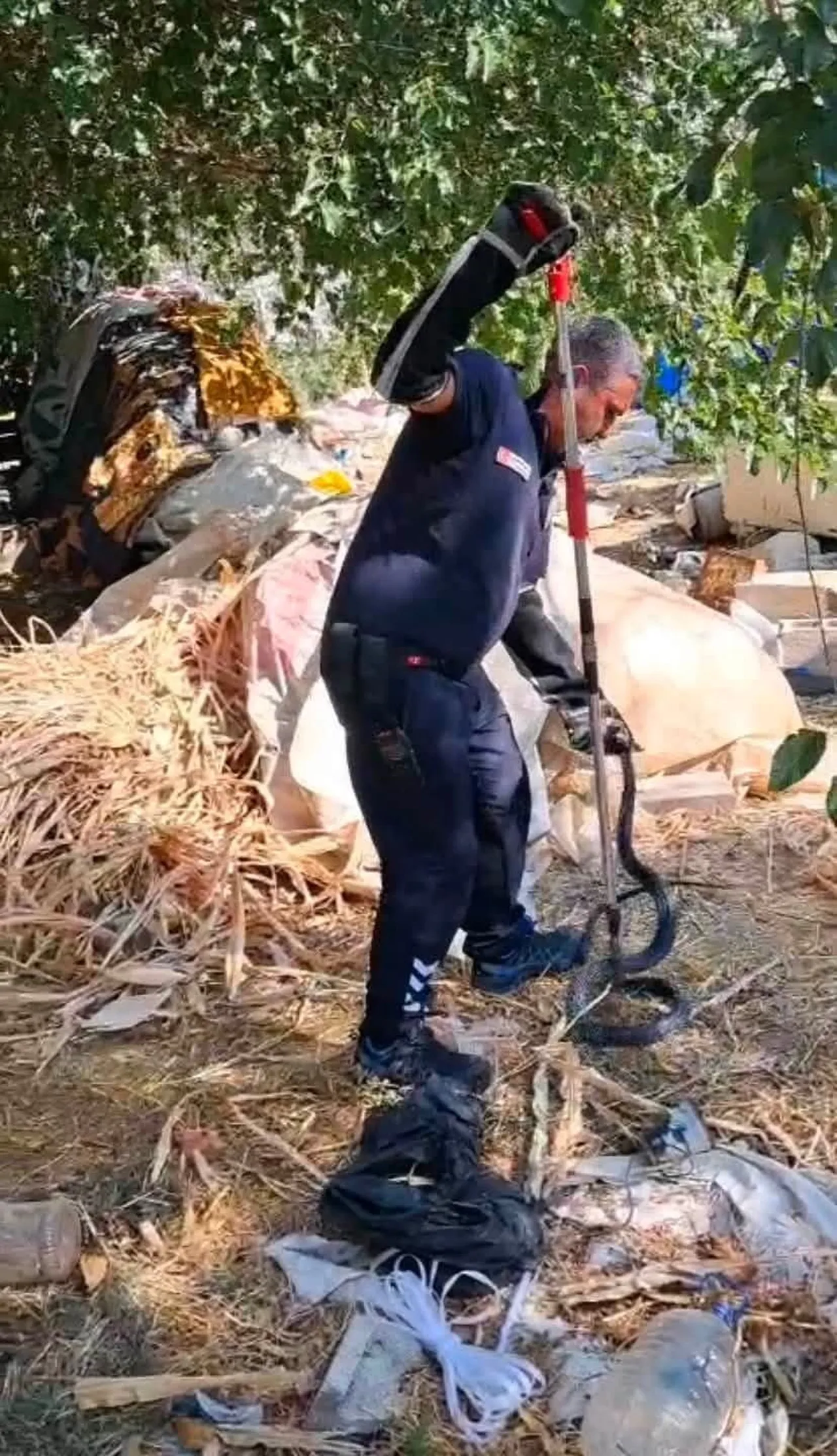 HATAY'DA EVİN BAHÇESİNE GİREN YAKLAŞIK 2 METRELİK KARA YILANI İTFAİYE EKİPLERİ YAKALADI