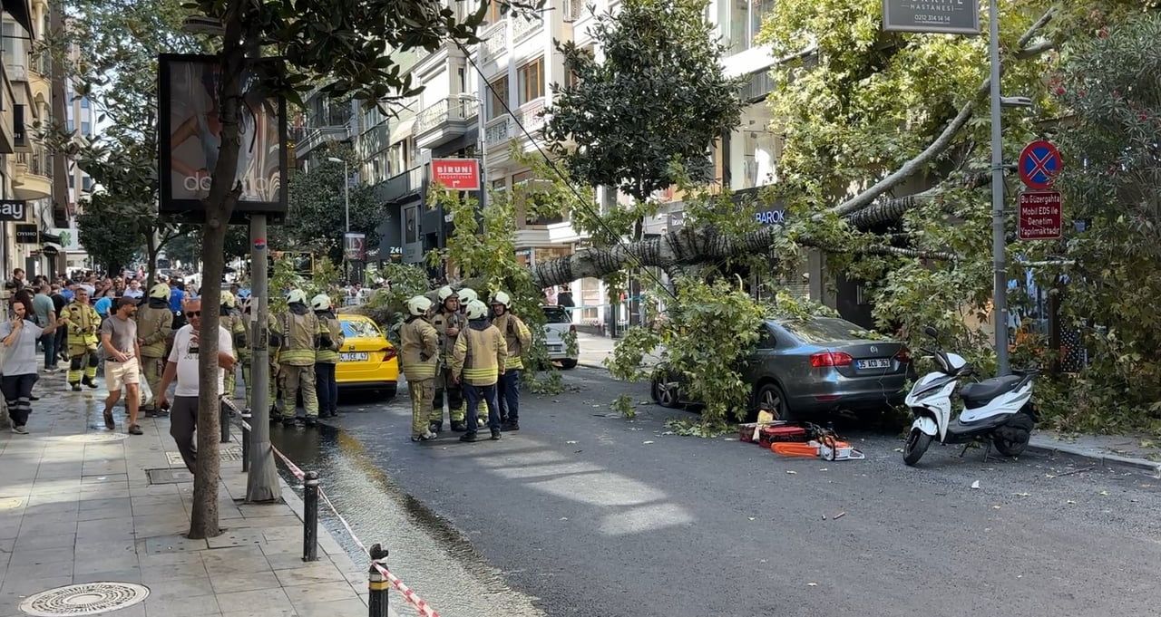 İSTANBUL ŞİŞLİ’DE HENÜZ BELİRLENEMEYEN BİR NEDENLE KÖKÜNDEN DEVRİLEN ÇINAR AĞACI, BİRİ TİCARİ...