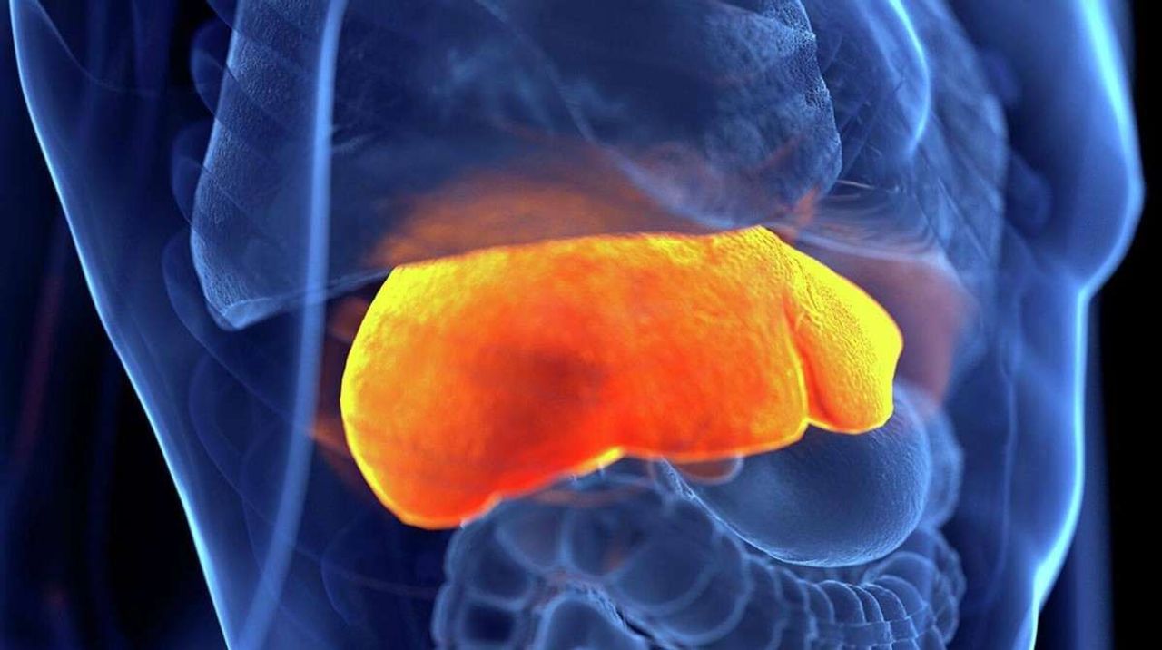 Gizemli hepatit nedir, belirtileri nelerdir