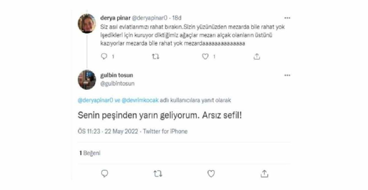 Gülbin Tosun