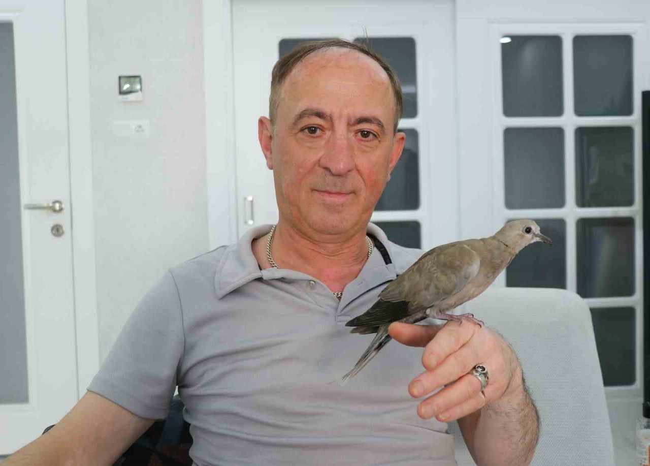 GÜNLERCE KENDİ ELLERİYLE BESLEDİĞİ KUMRUYLA ARALARINDA ZAMANLA DUYGUSAL BİR BAĞ OLUŞTUĞUNU...