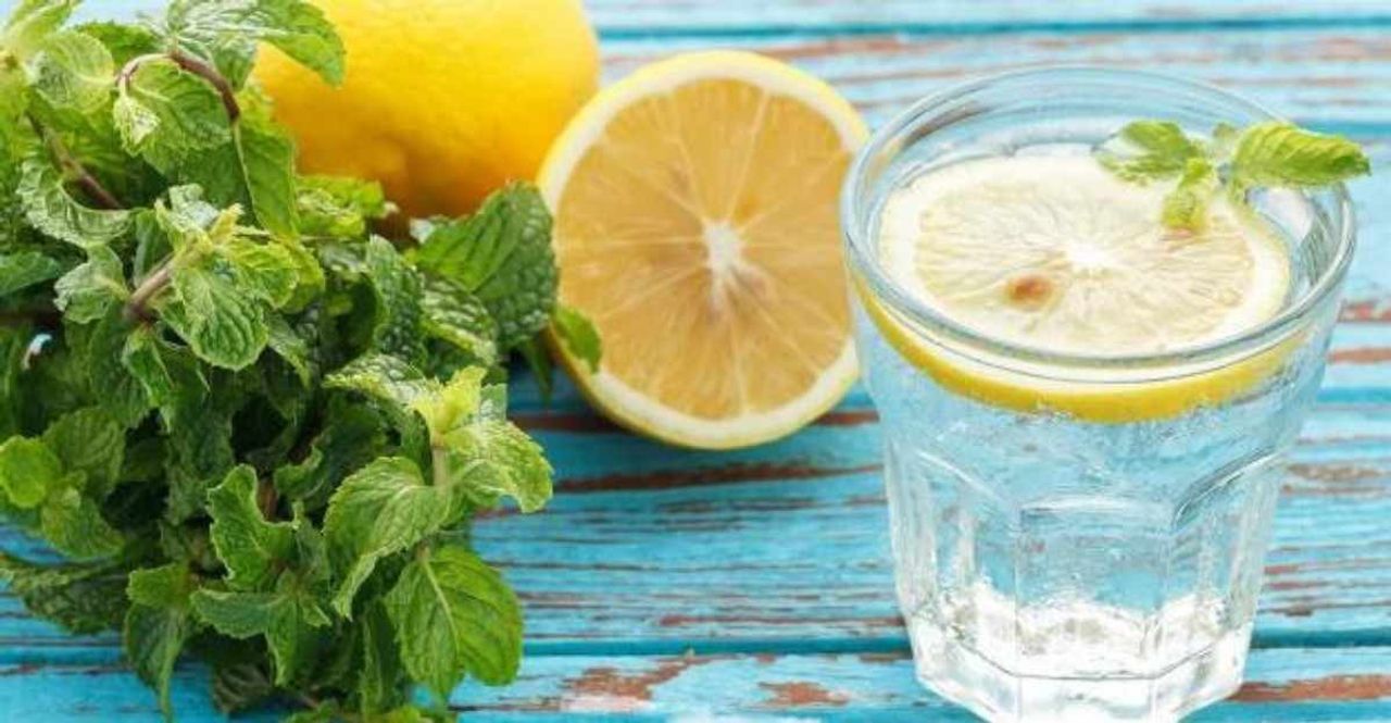 Hamilelik sürecinde nane limon tüketilir mi