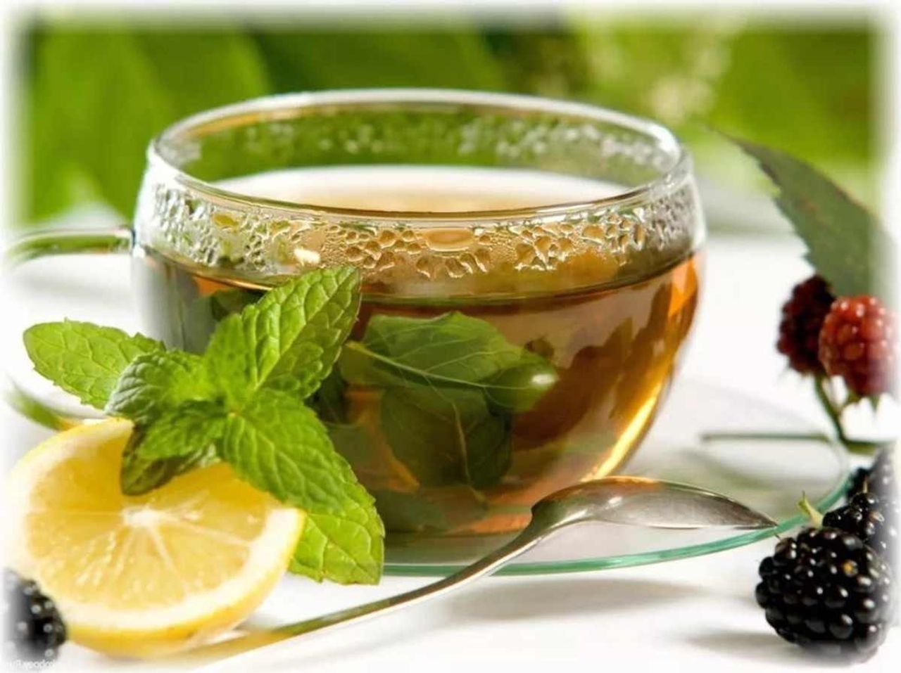 Hamilelik sürecinde nane limon tüketilir mi