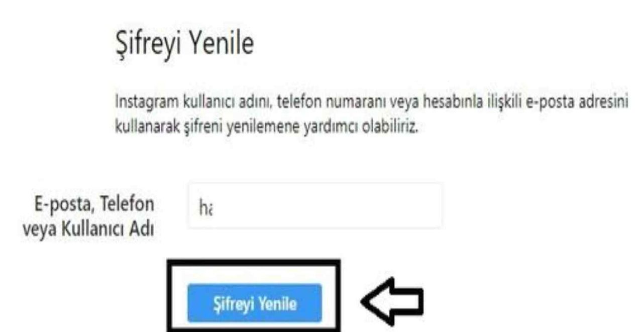 İnstagram şifre yenileme