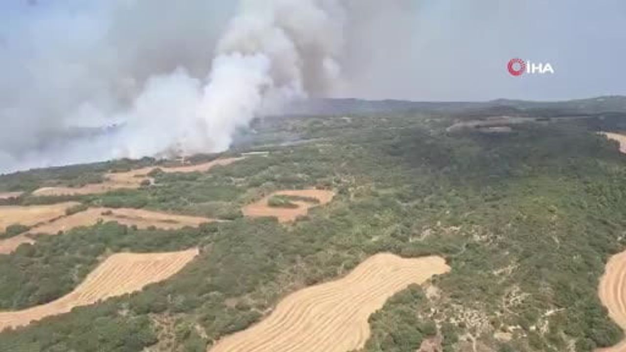 İspanya'nın Aragon özerk bölgesinde çıkan orman yangını 11 bin dönümden fazla alanı küle çevirdi...