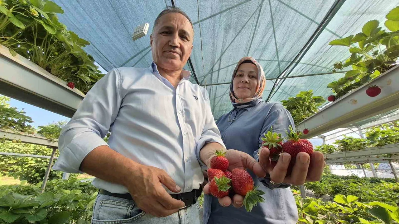 İSTANBUL'DA 26 YIL ÇALIŞTIKTAN SONRA EMEKLİ OLUP MEMLEKETLERİ DÜZCE'NİN KAYNAŞLI İLÇESİNE YERLEŞEN...