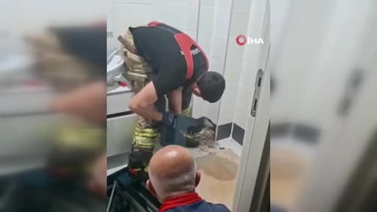 İtfaiye erleri havalandırma boşluğunda kalan kedi için seferber oldu