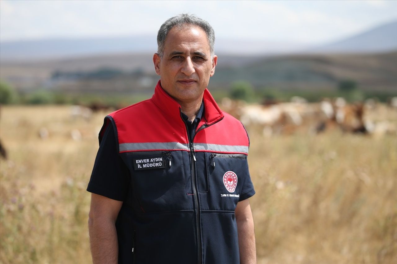 Kars Tarım ve Orman Müdürü Enver Aydın, SAT-1 tip şap hastalığının seyrine ilişkin açıklamalarda...