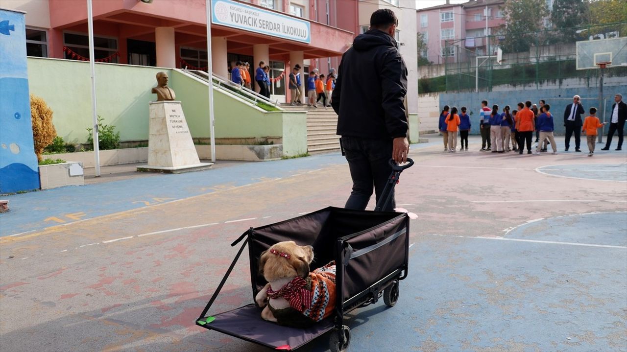 Kocaeli'de hayata geçirilen projeyle çocuklar, engelli köpek "Kıvrık" sayesinde empati ve merhamet...