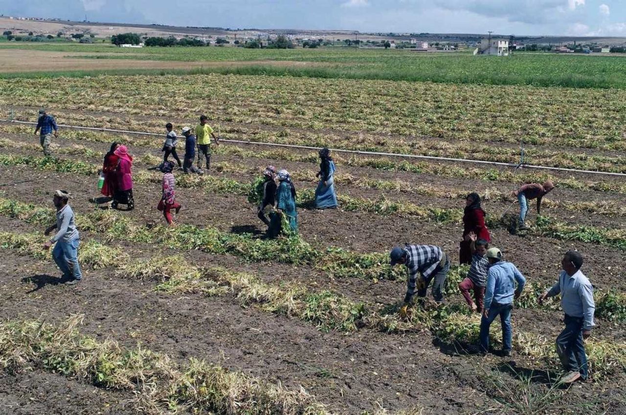 Köye dönüş projesi 2022 nereye başvurulur