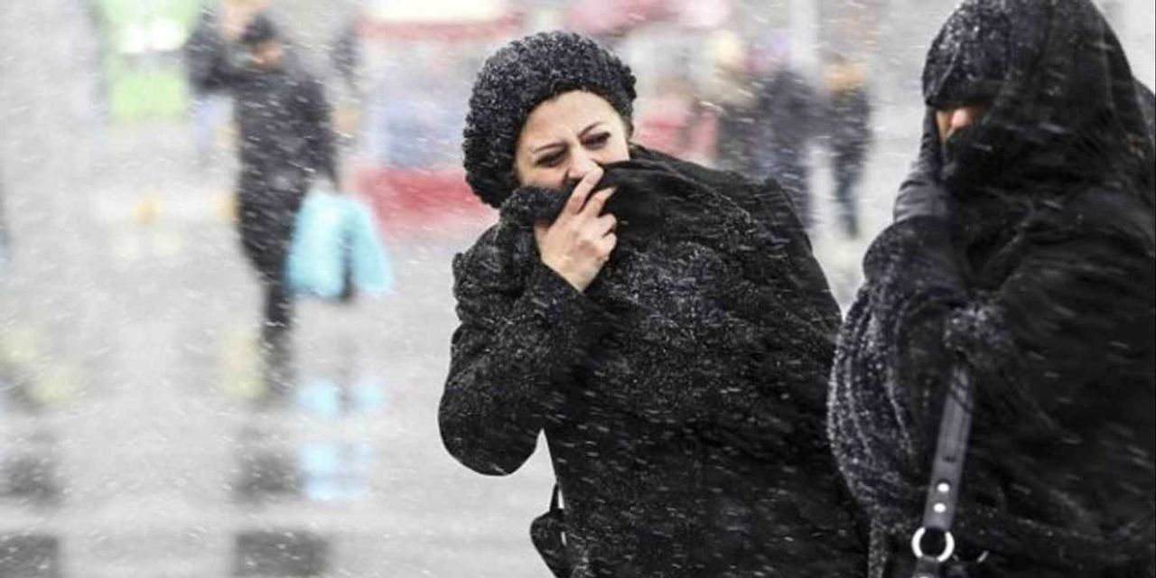 Kuğu Fırtınası Nedir