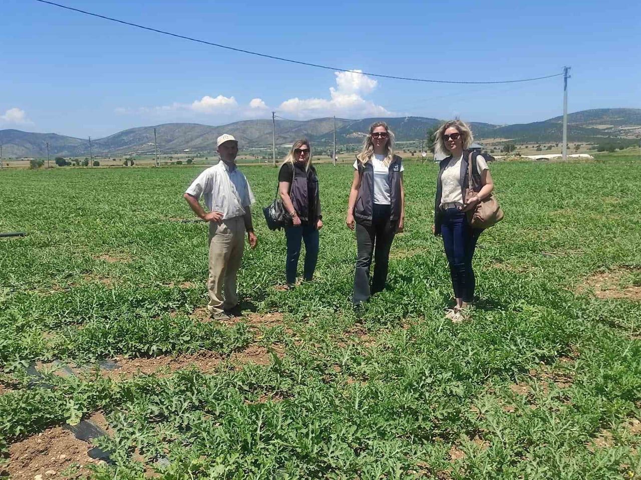 MEDETLİ KARPUZU İYİ TARIMLA GELECEĞE TAŞINIYOR