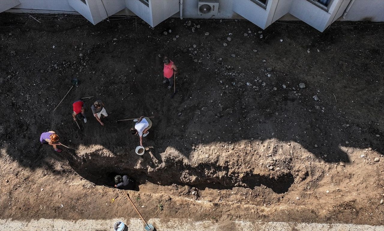 Mersin'de 2021 yılında sahile vurduktan sonra Mersin Üniversitesi (MEÜ) Yenişehir Kampüsü'ndeki...