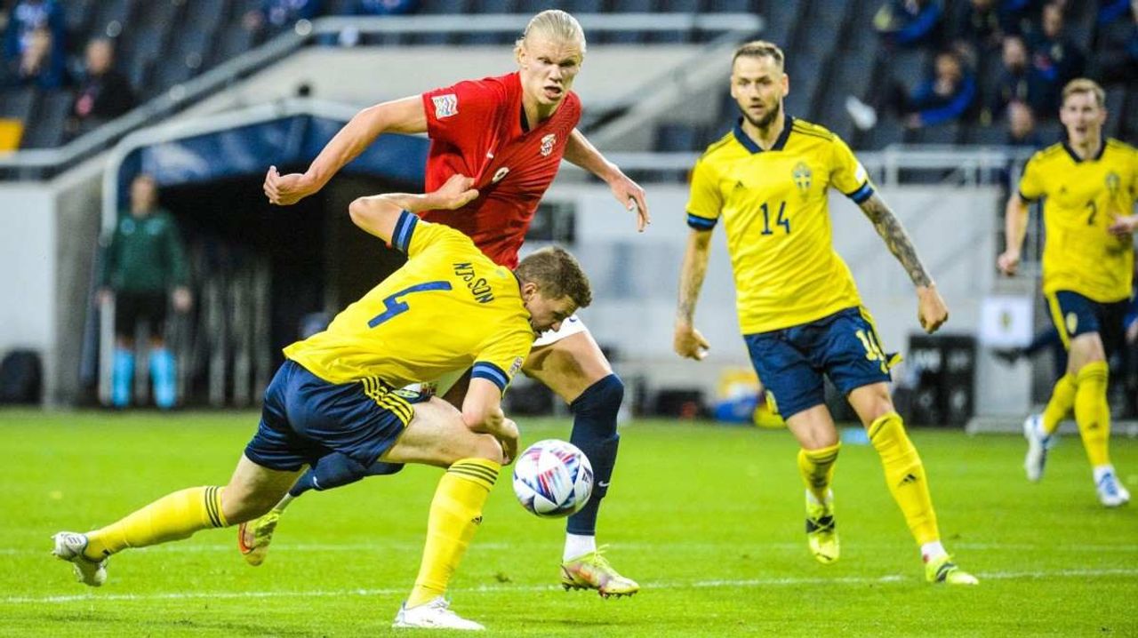 Norveç İsveç