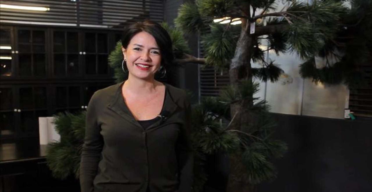 Özlem Gürses kimdir