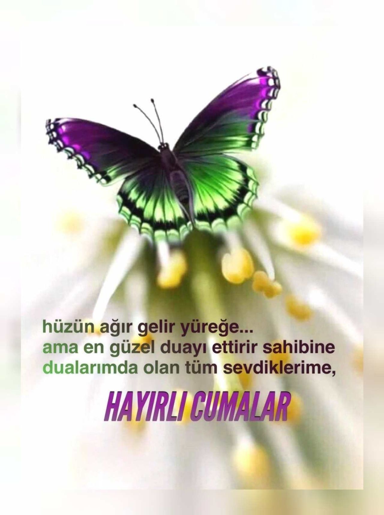resimli cuma mesajları