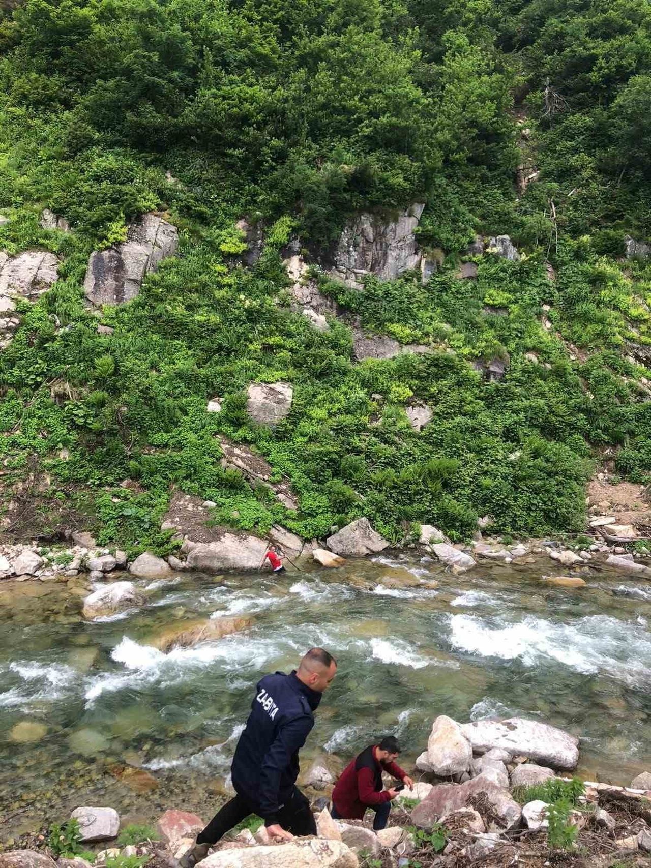 RİZE'NİN ÇAMLIHEMŞİN İLÇESİNDEKİ AYDER YAYLASI GALERDÜZÜ MEVKİİNDE, KARŞI KIYIYA UÇAN PAPAĞANINI...