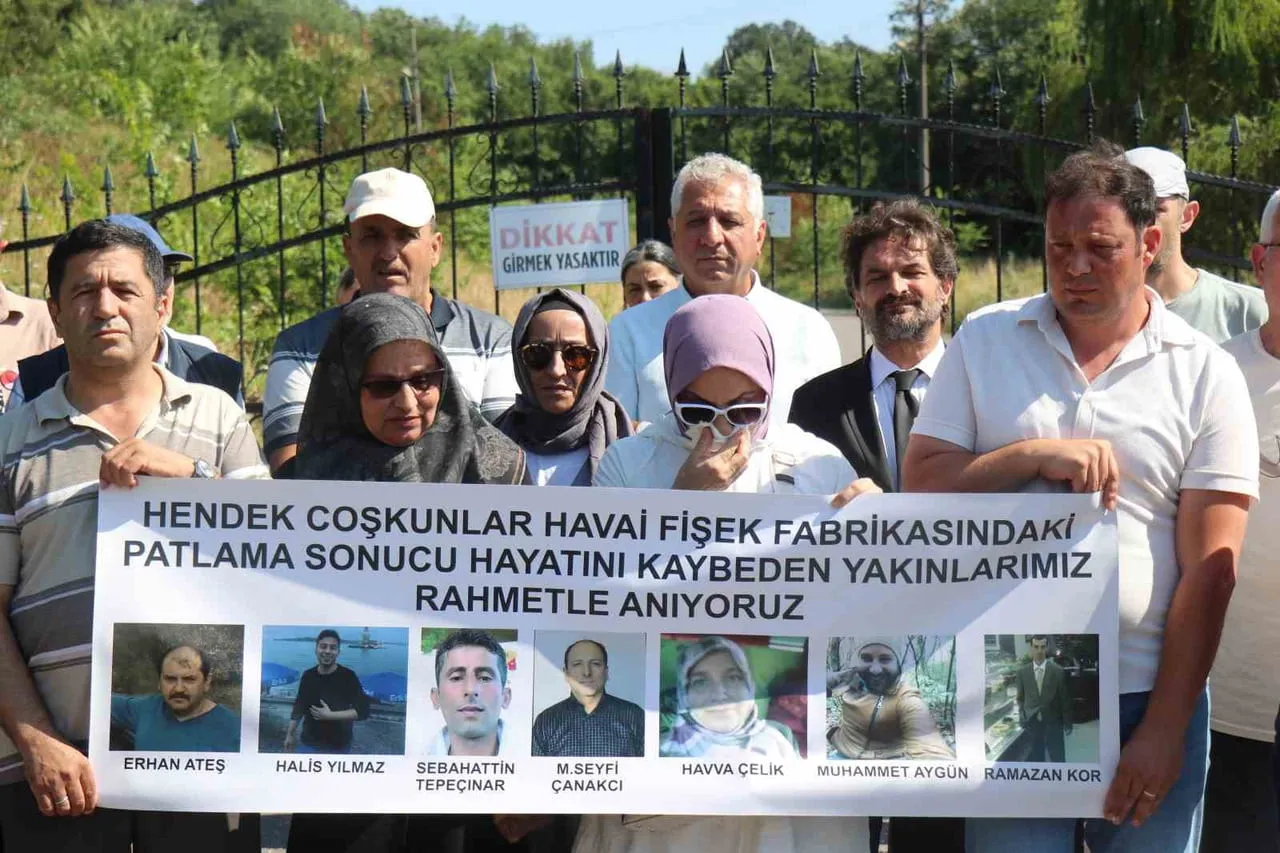 SAKARYA'NIN HENDEK İLÇESİNDE 7 KİŞİNİN HAYATINI KAYBETTİĞİ 127 KİŞİNİN YARALANDIĞI HAVAİ FİŞEK...