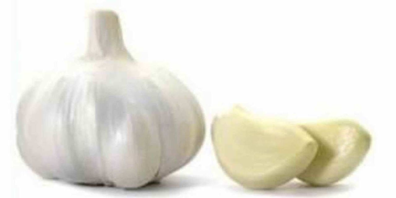 sarımsak